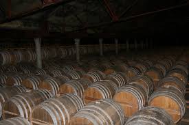 Les professionnels du cognac optent pour la prudence pour leurs prochaines cultures
